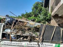 Best Shed Removal  in Craig, AK
