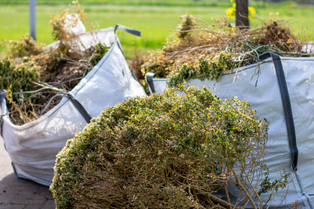 Best Residential Junk Removal  in Craig, AK